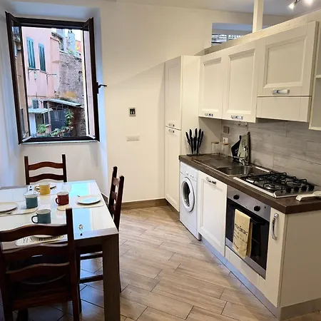 Trastevere Garibaldi 14 公寓 罗马